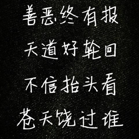 小灰灰不小