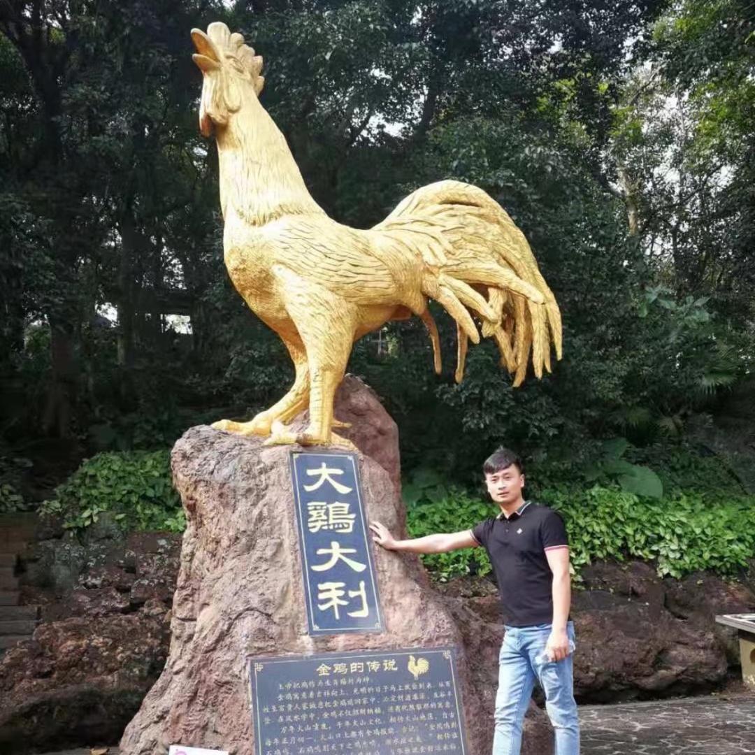 龙灯土鸡生鲜店
