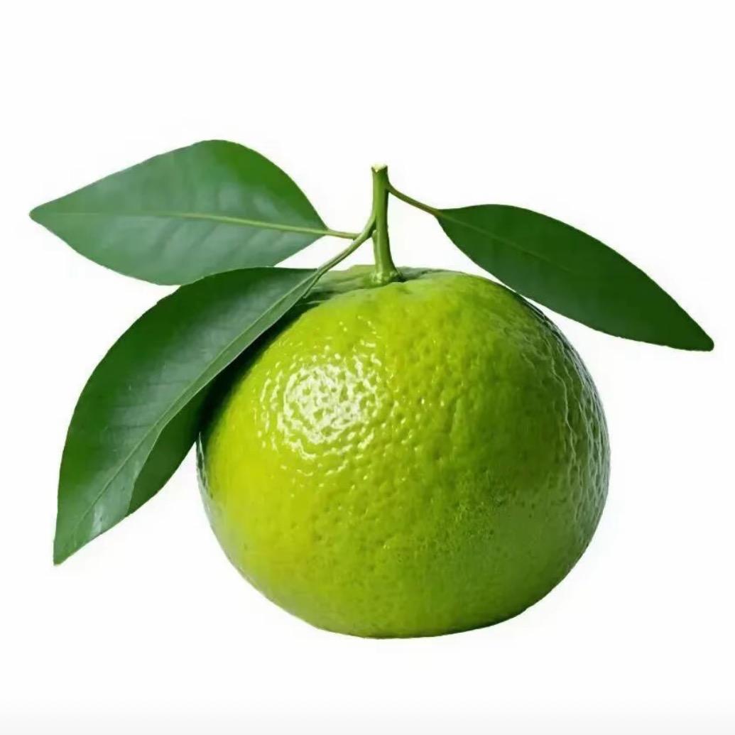 今天的我也健康富贵