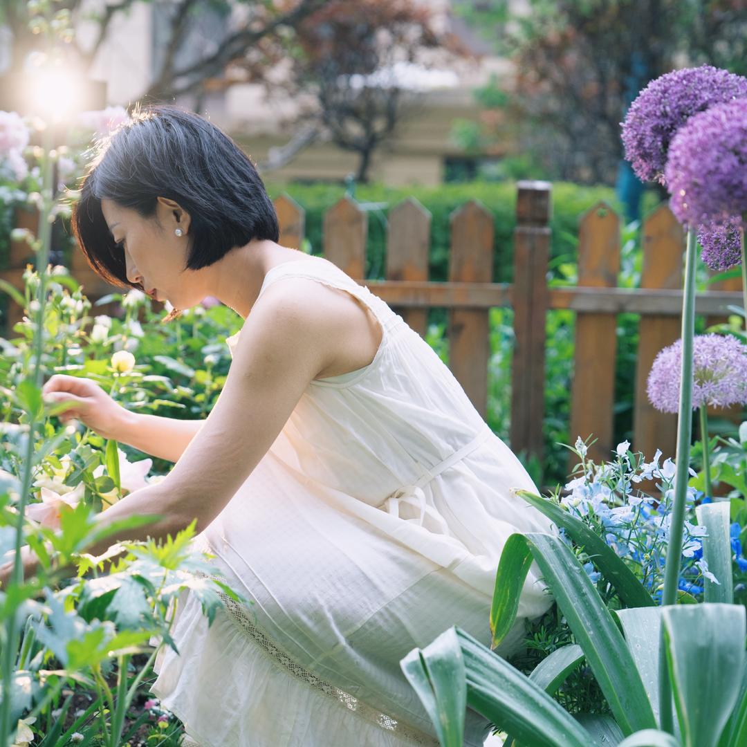 草莓菇凉在东北种花