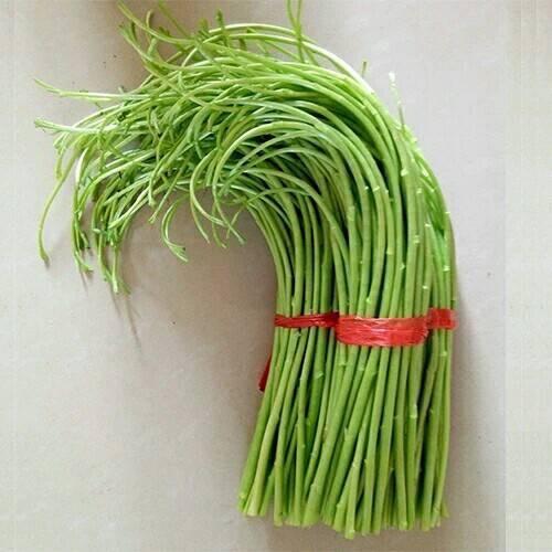睿博精品芦蒿