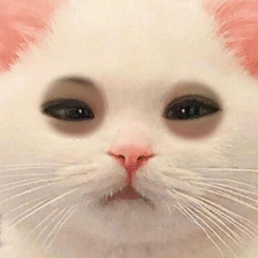 小丽猫读书看世界