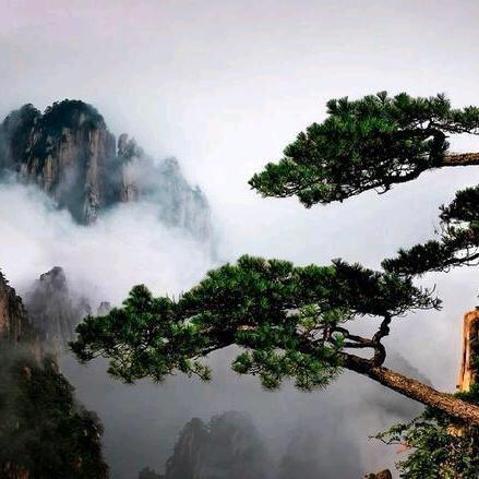 阿兵