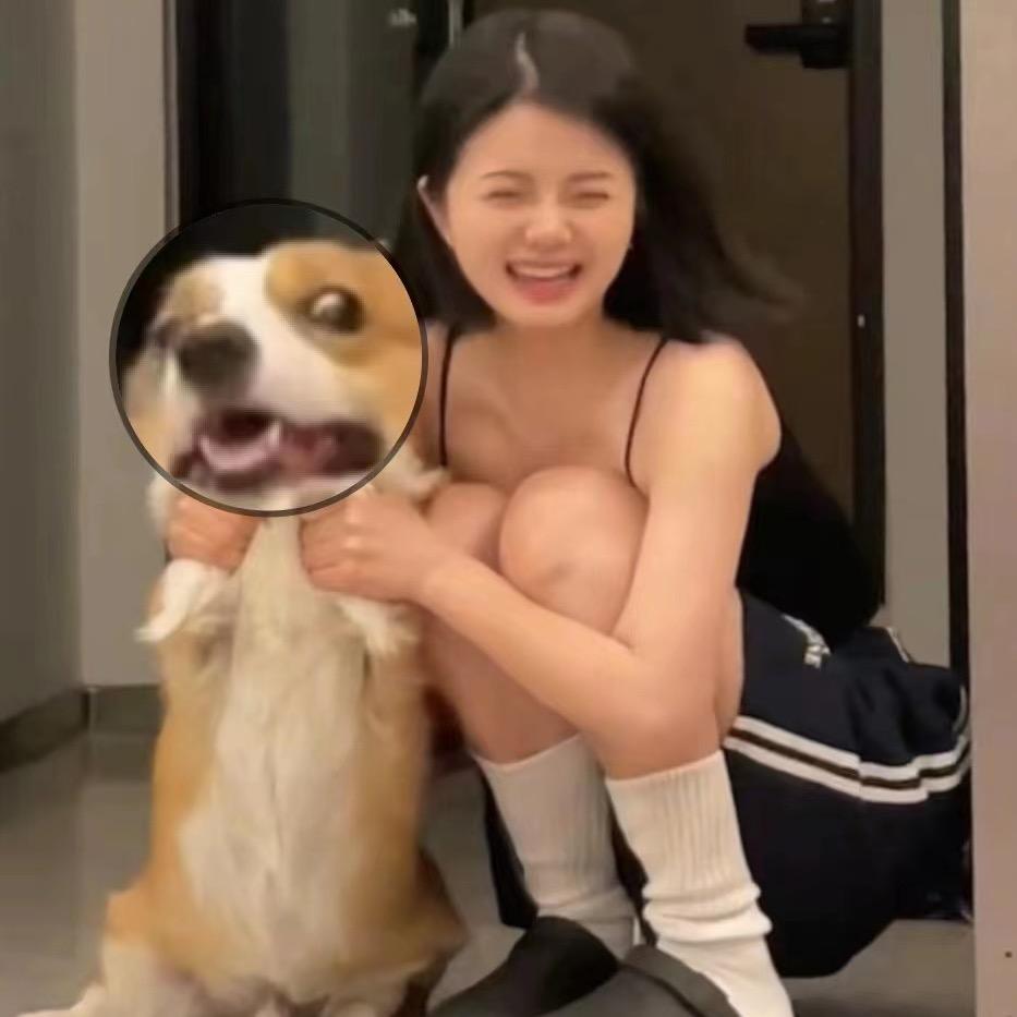 刀刀