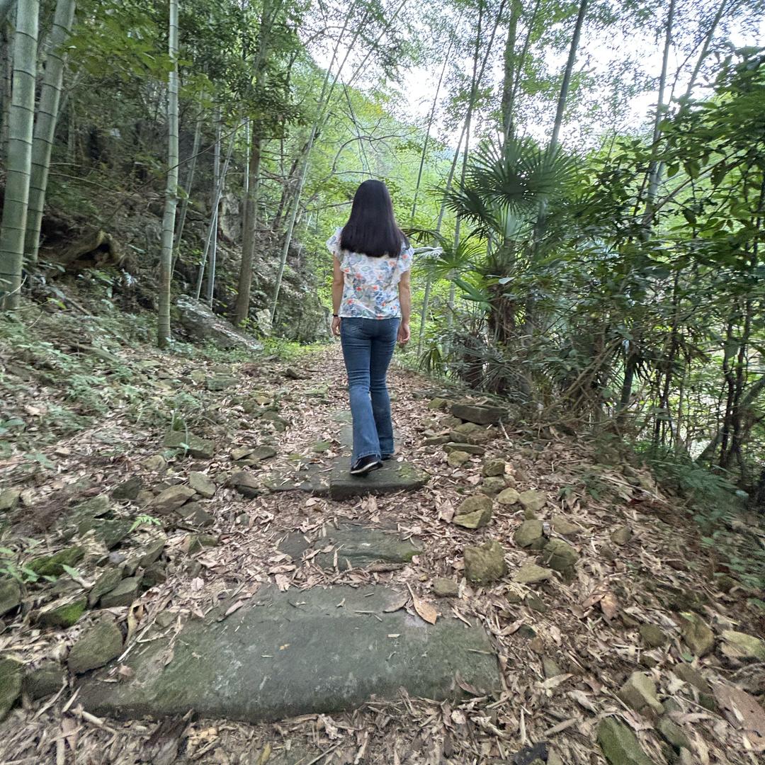 九华山陈木木