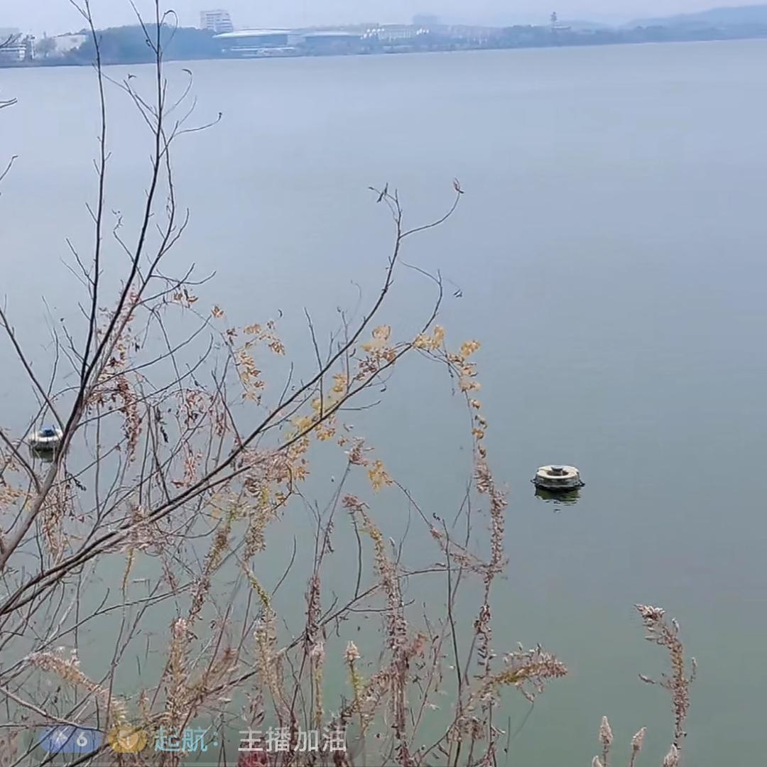 员—继哥