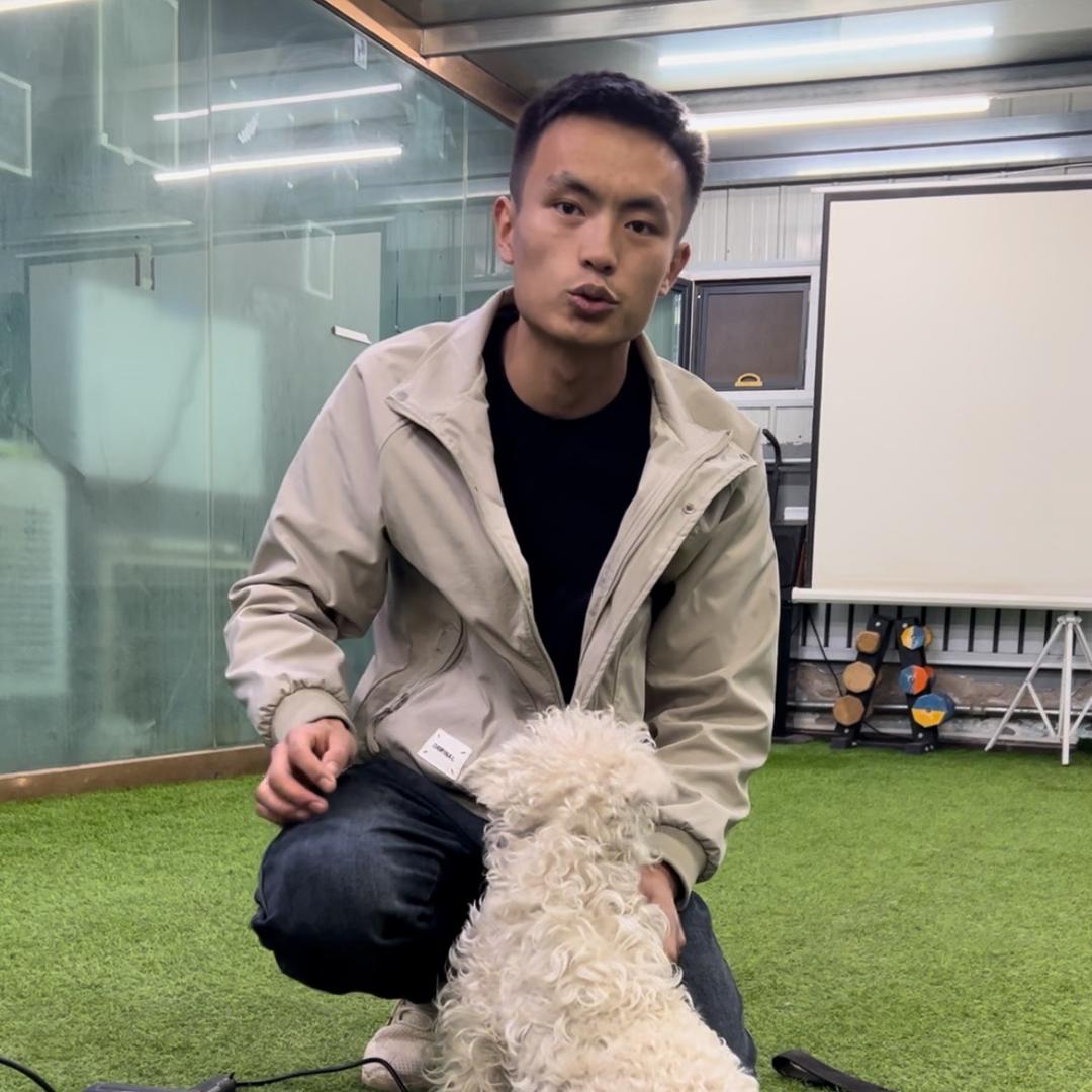 西宁浩铭驯犬 寄养