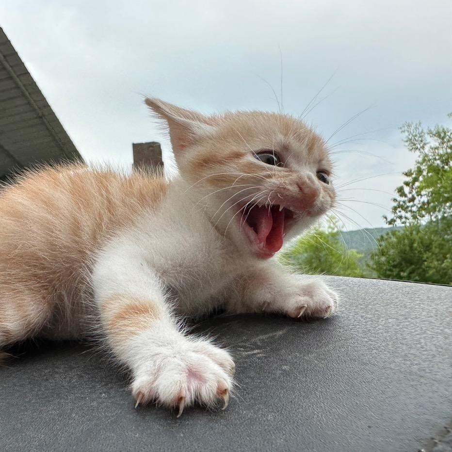 ٩๑半生♡浮名٩๑۶