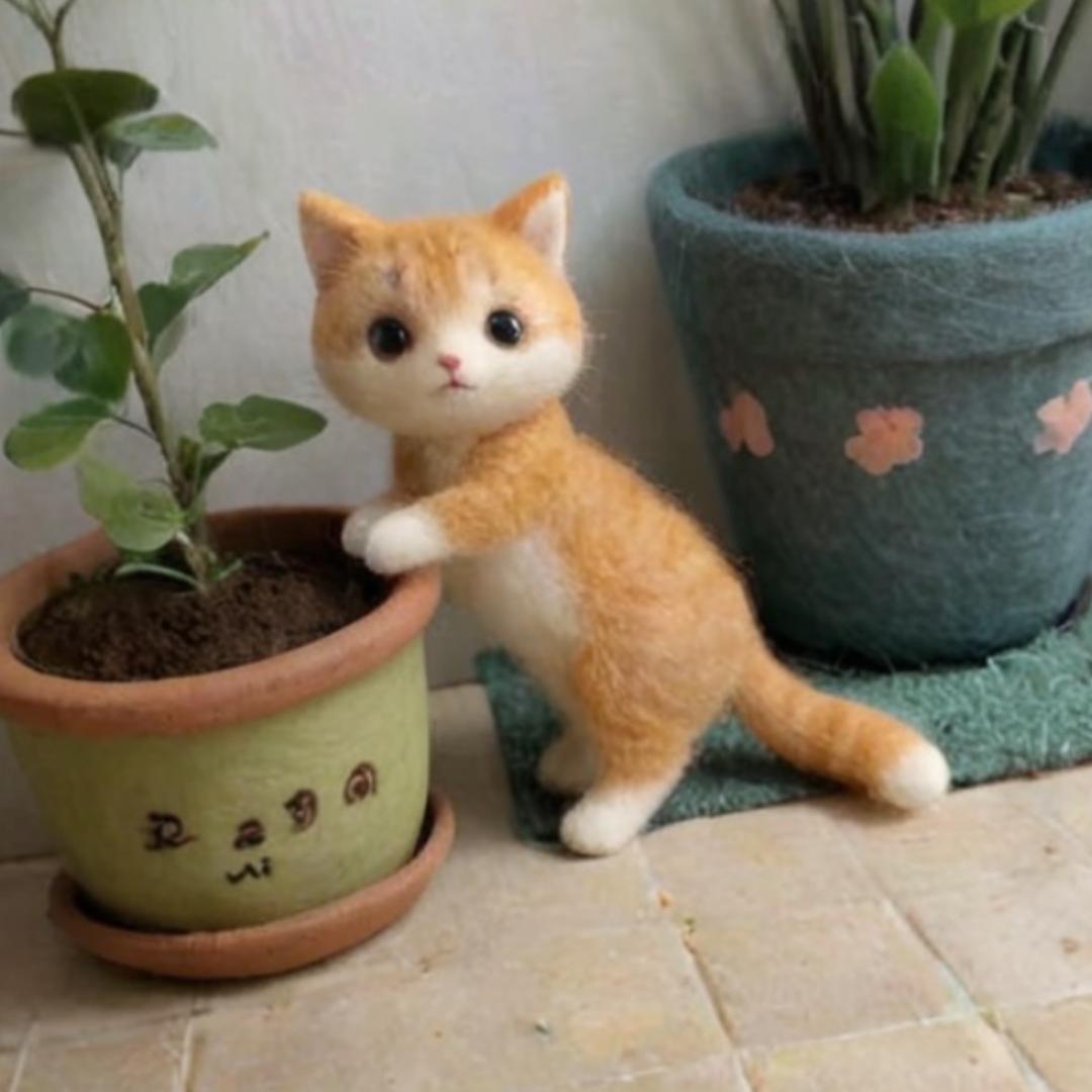 记录生活吧
