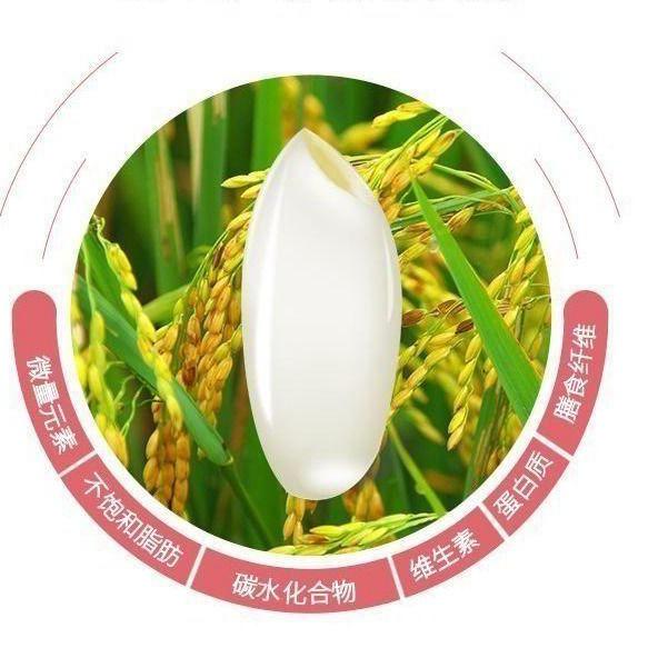 苏邮农副产品