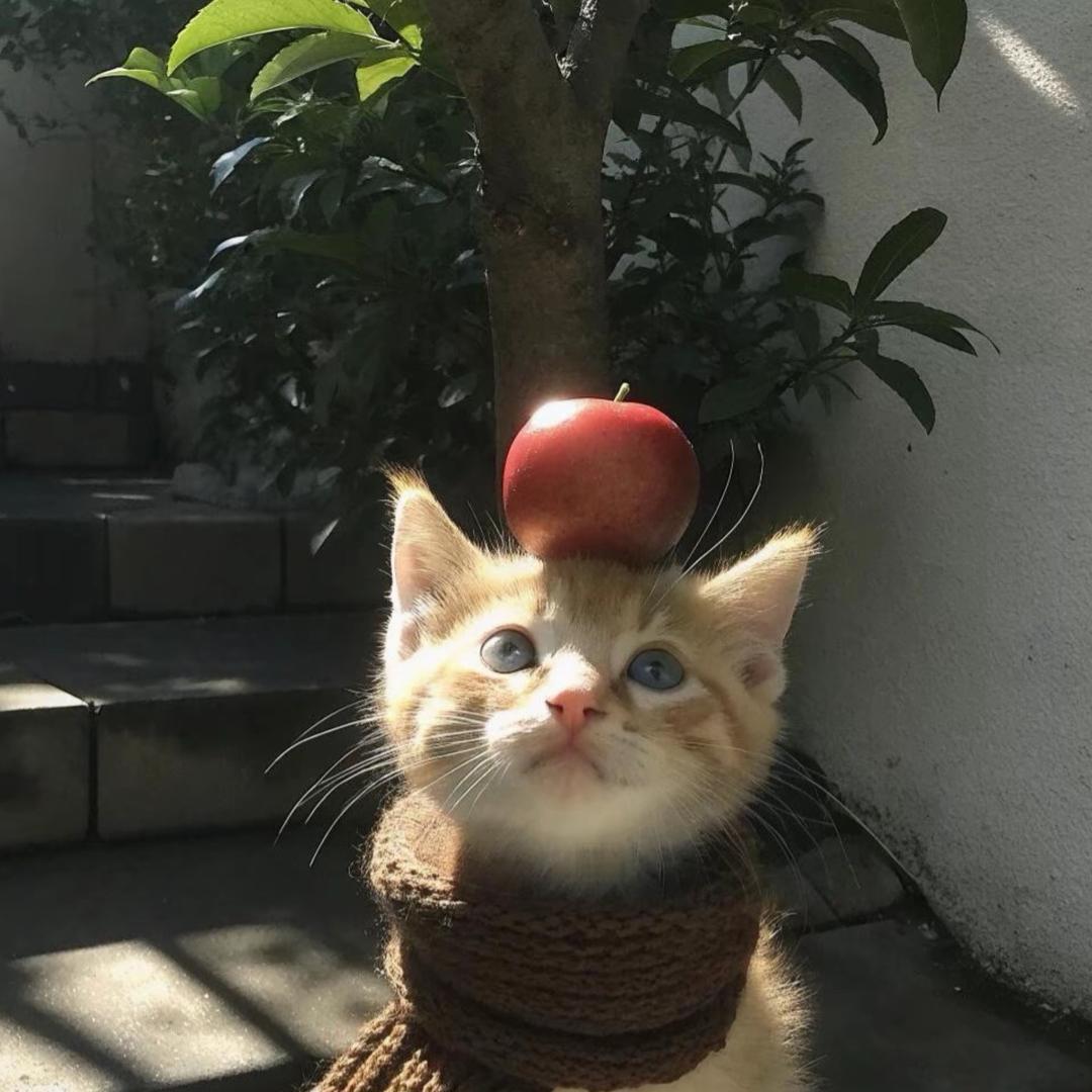 鸡蛋卷
