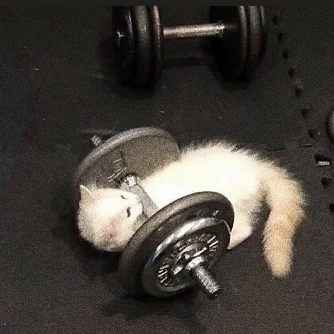 趙