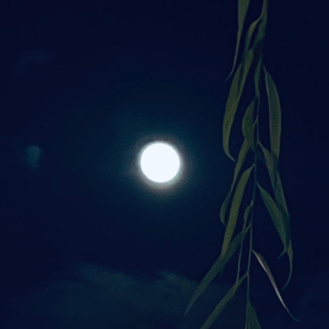 海智