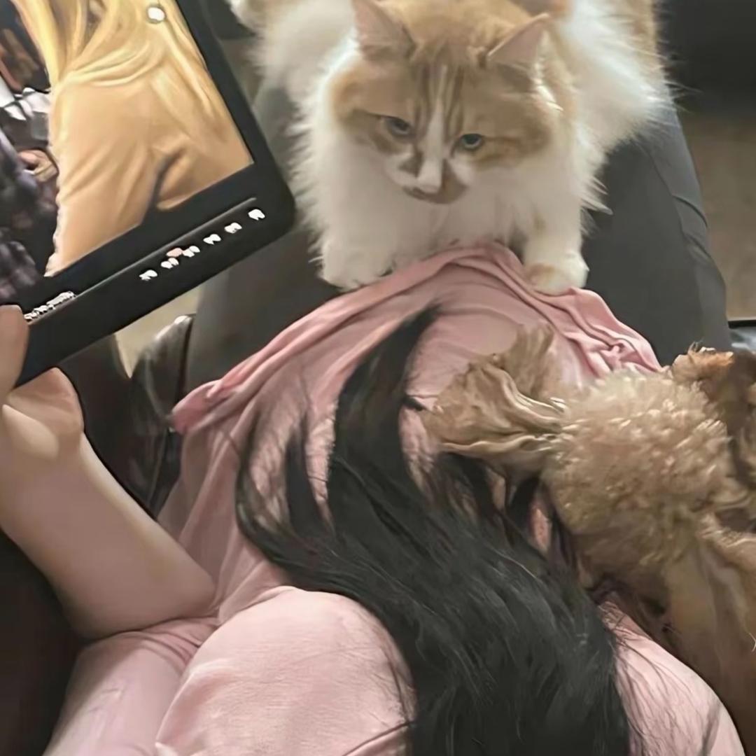 今天你洗头了吗