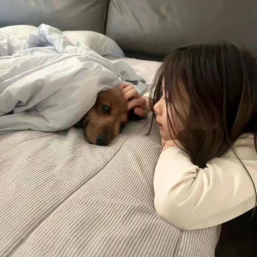呆呆鱼.