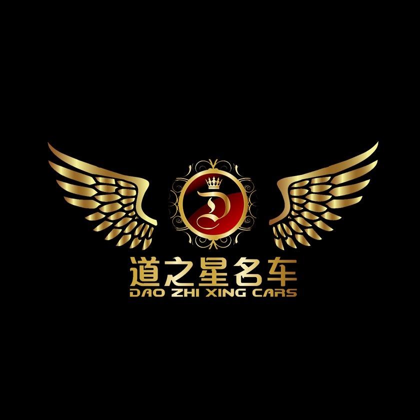 广西道之星名车