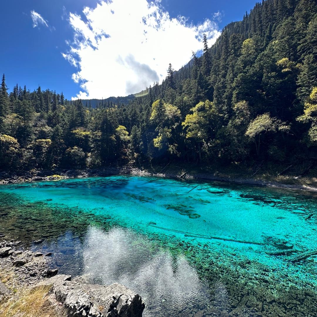 李宇-美年大健康