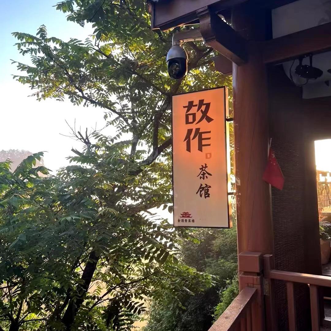 杨老师