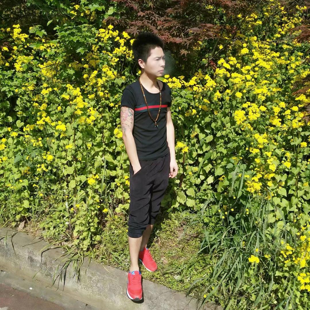 刘哥真牛650