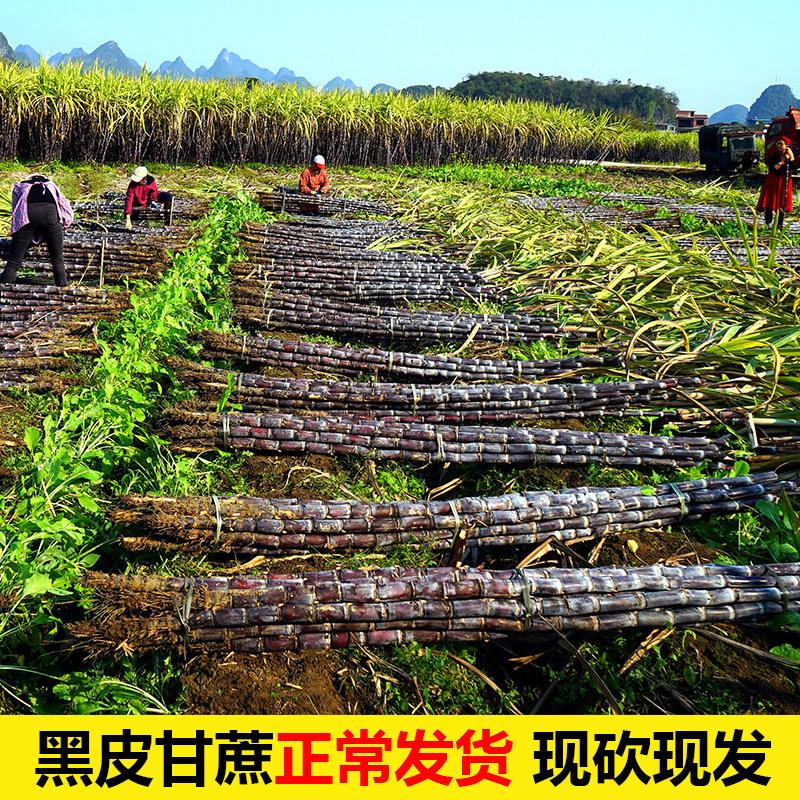 华盈贸易