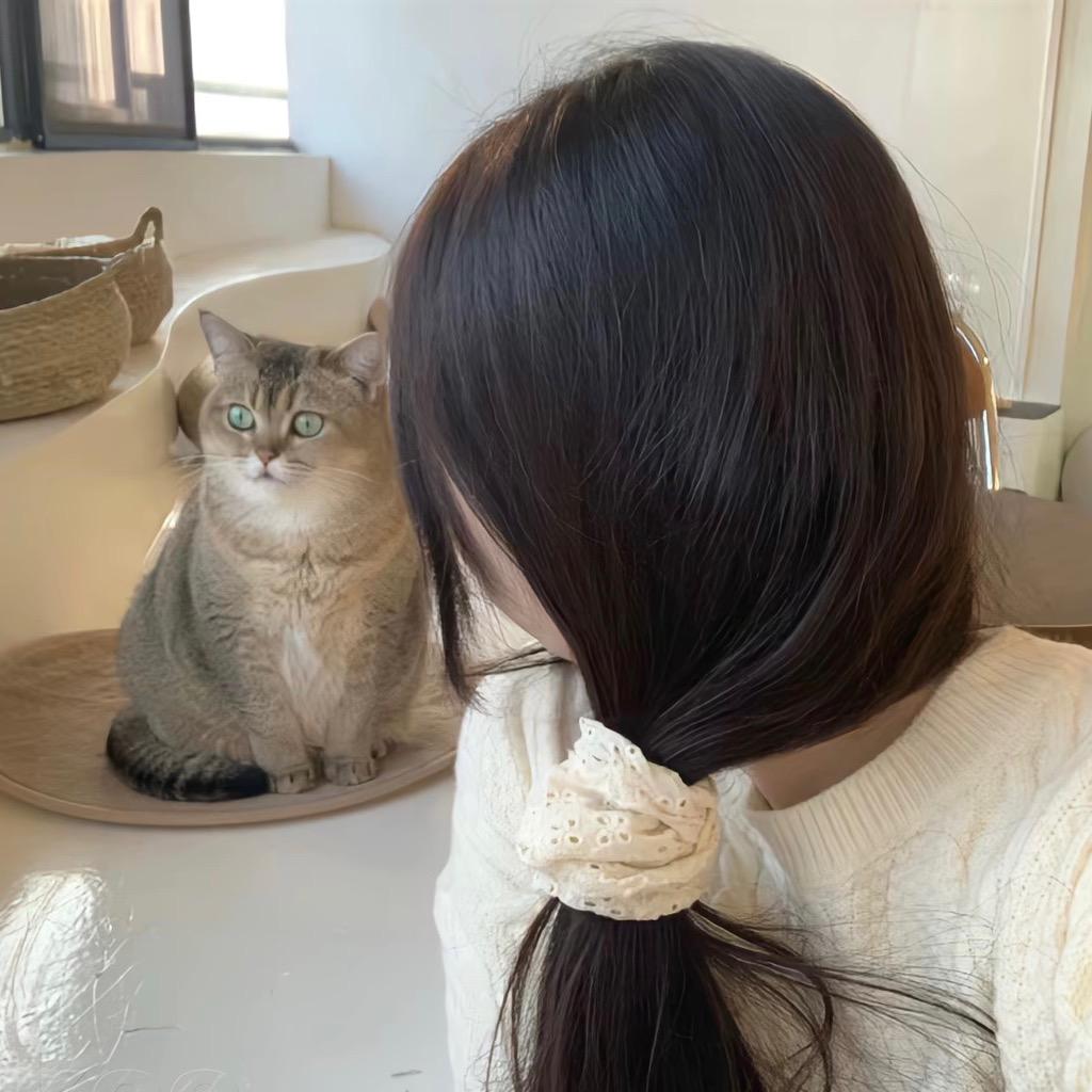 @小布丁🍮