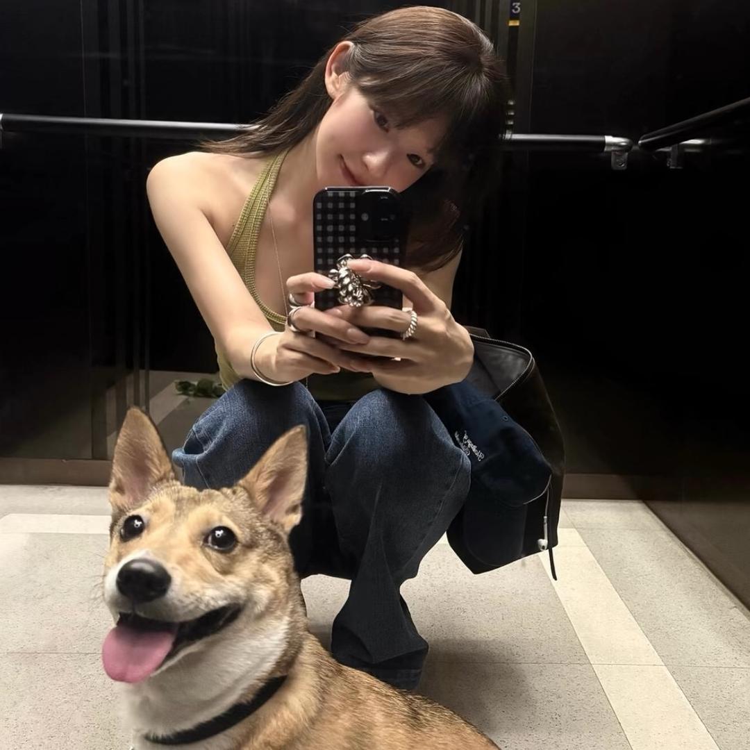 扎个小丸子⁸