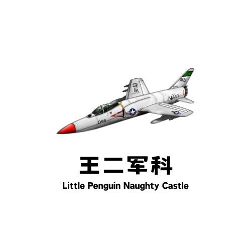 王二军科