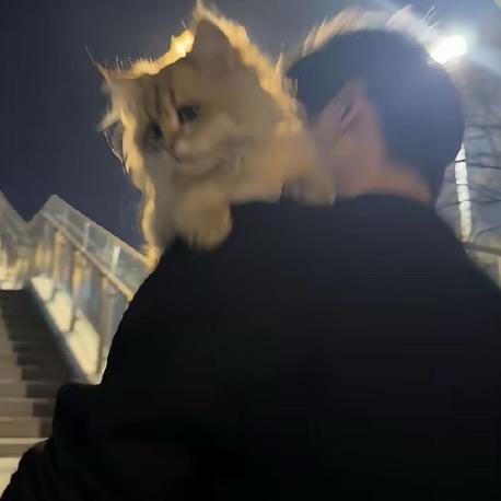 L不会拉杆