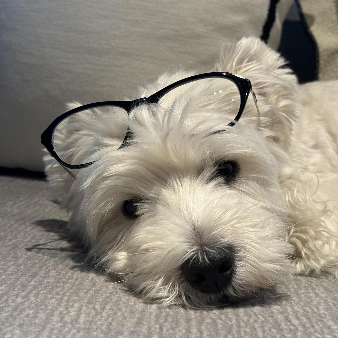 心地善良人类王.