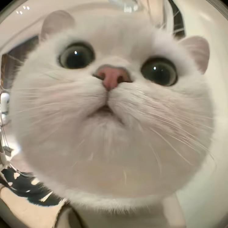 懒小源