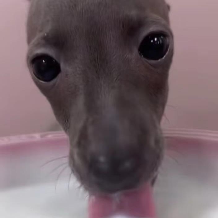 呜呼呼_呜💨