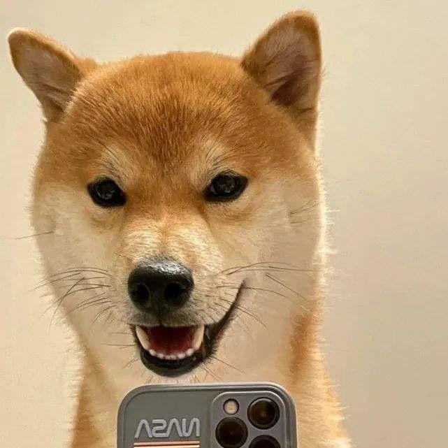 大黄狗子