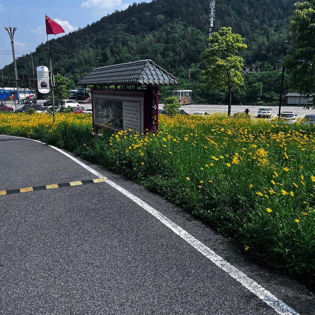 萱萱妈（主机游戏）