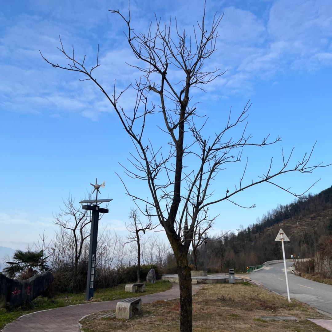 野钓张二哈（乐弟）