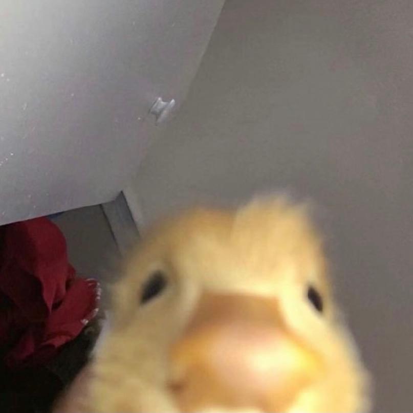 堡