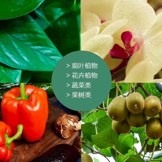 鼎辉外贸商行