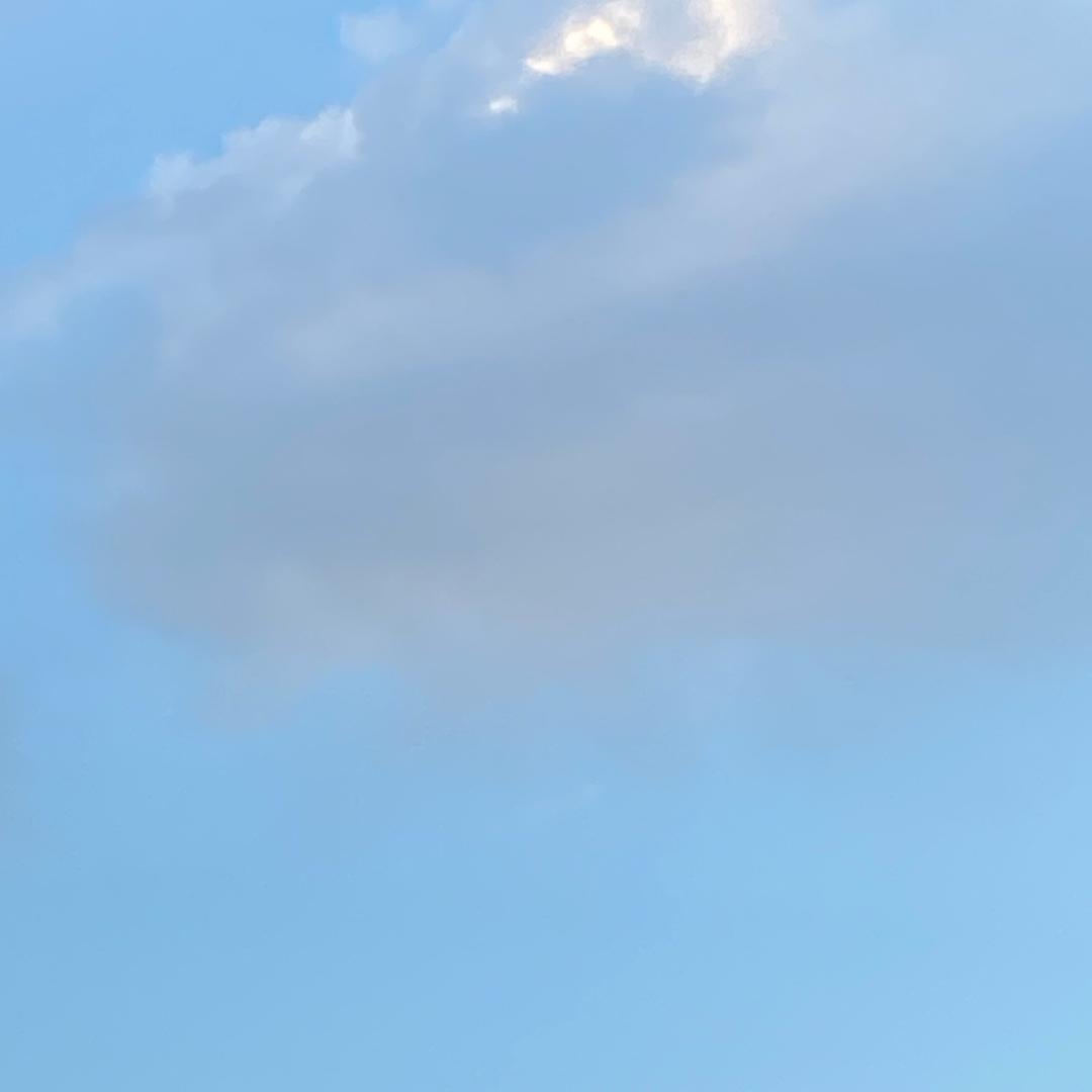 今天又是美好的一天。