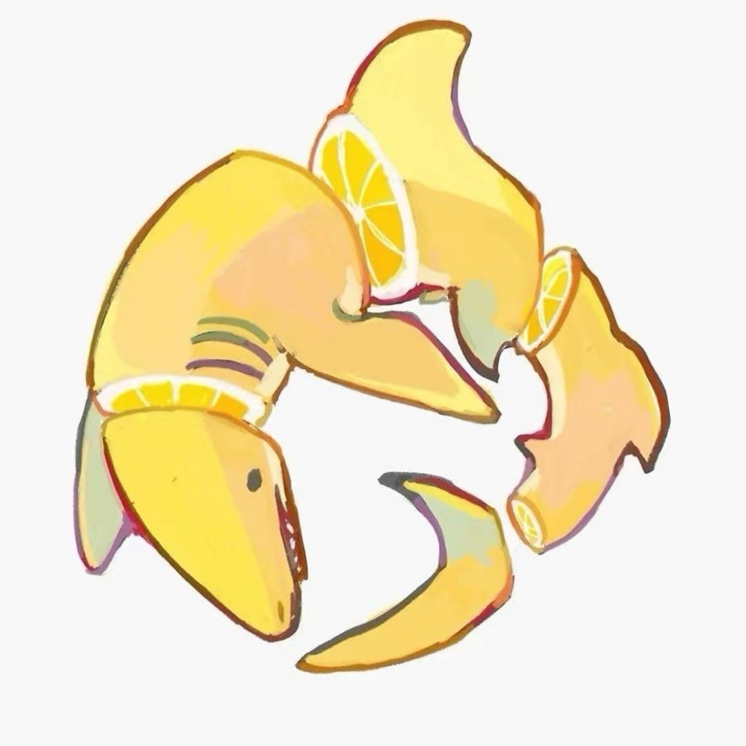 伊露柠檬鲨
