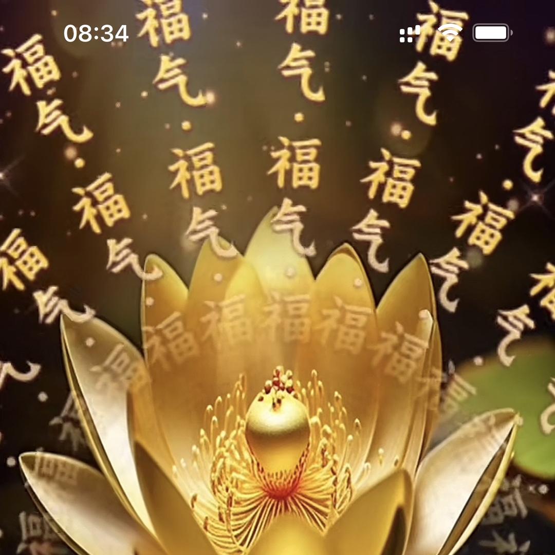 钱豆豆