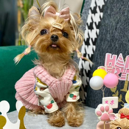 卡拉米的朋友圈