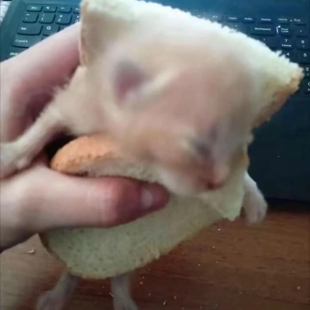 喷嚏