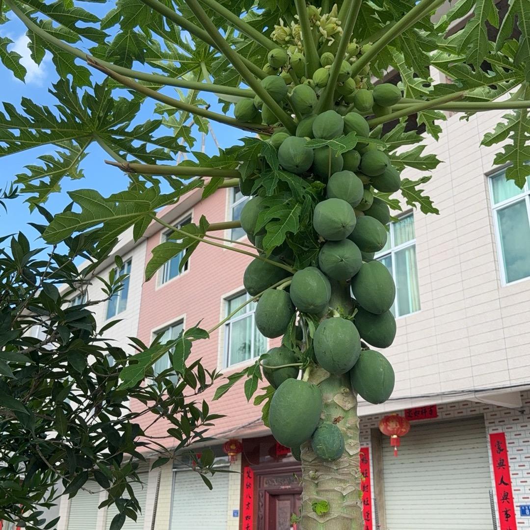 多余的@解释@