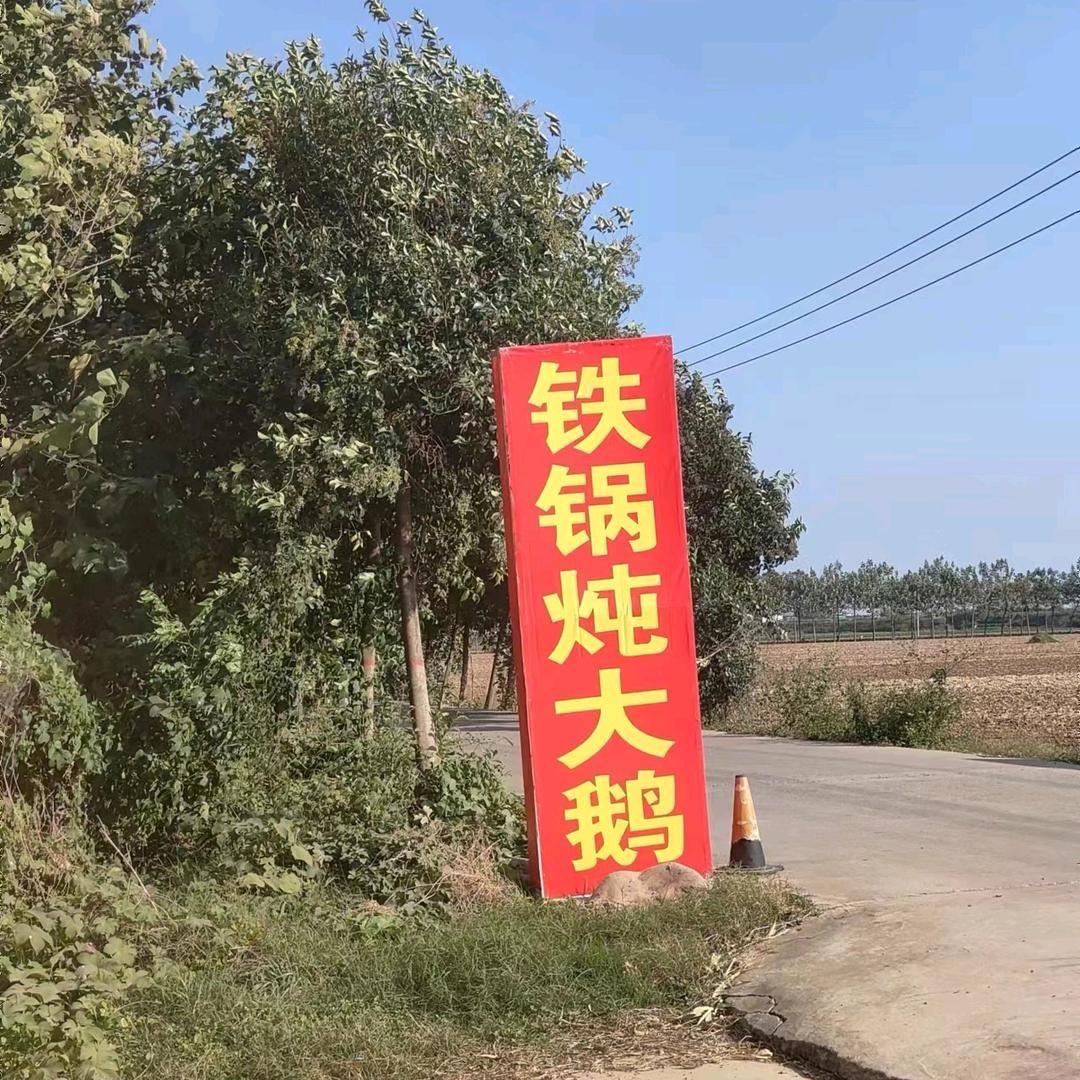 朱寺农庄铁锅炖大鹅