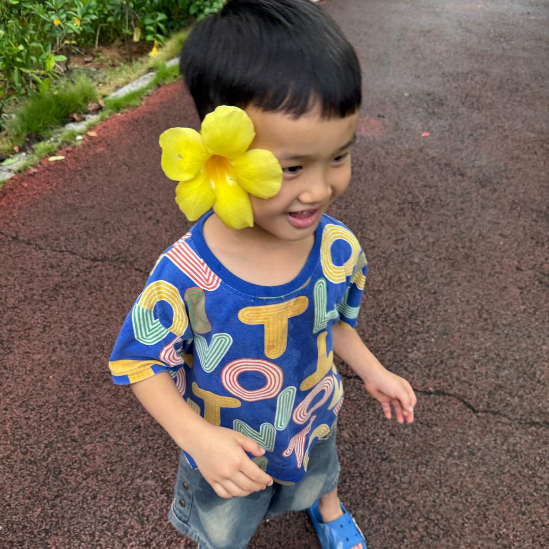 只求平安简单