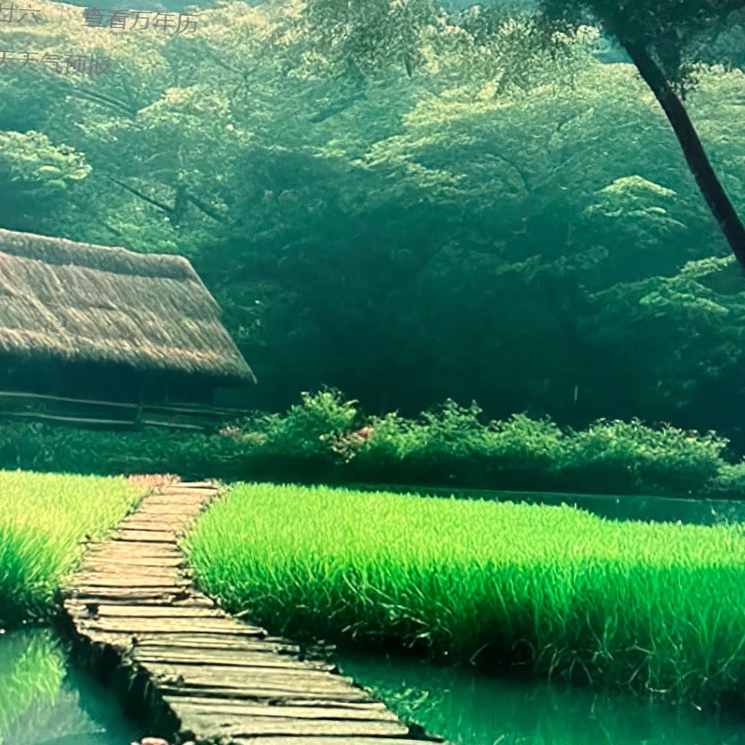 万事遂意