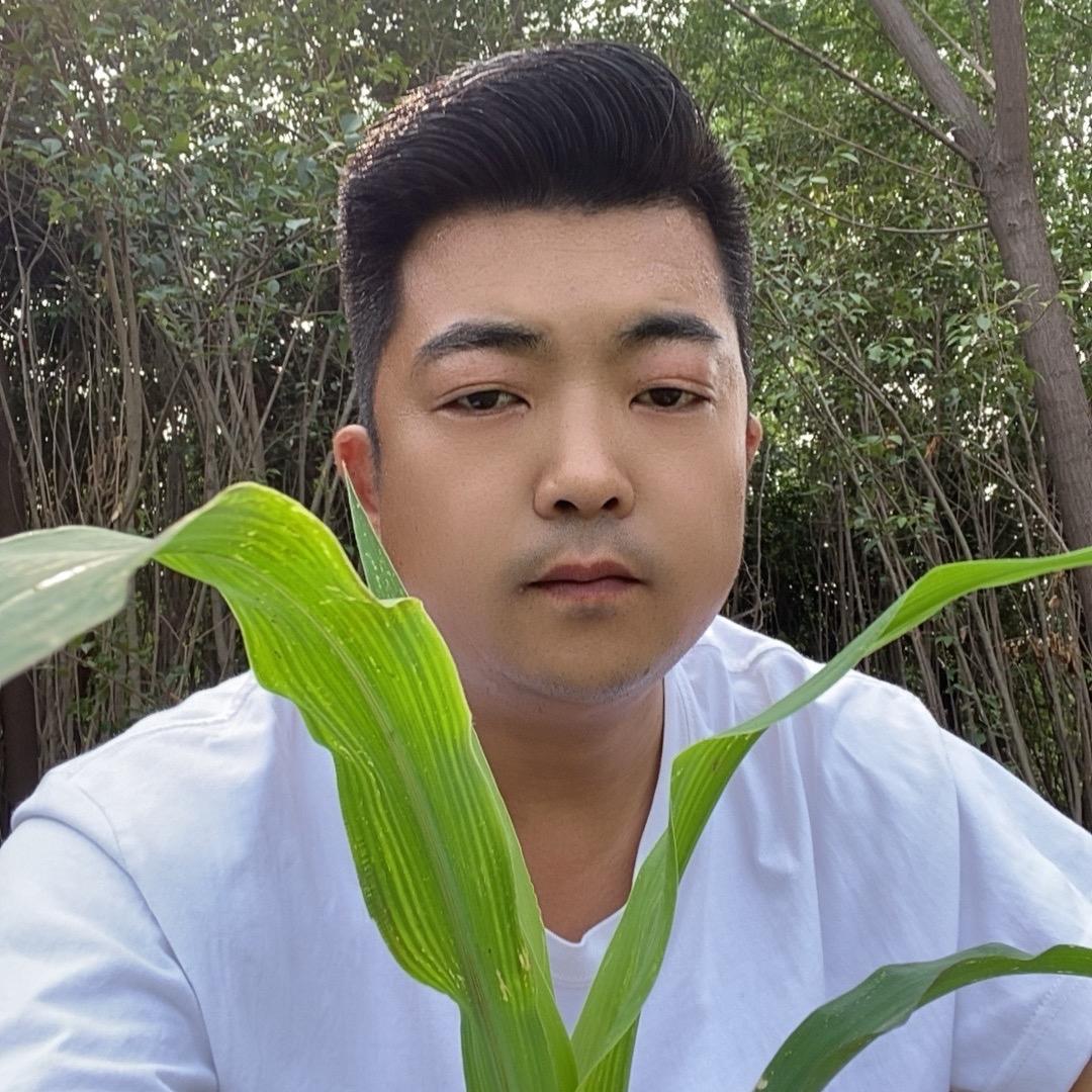 丰收助农朱大超