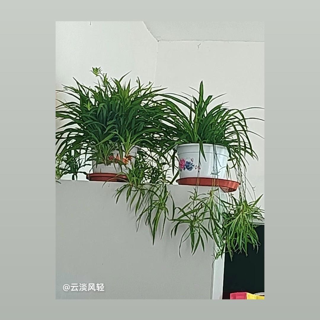 用户608815938