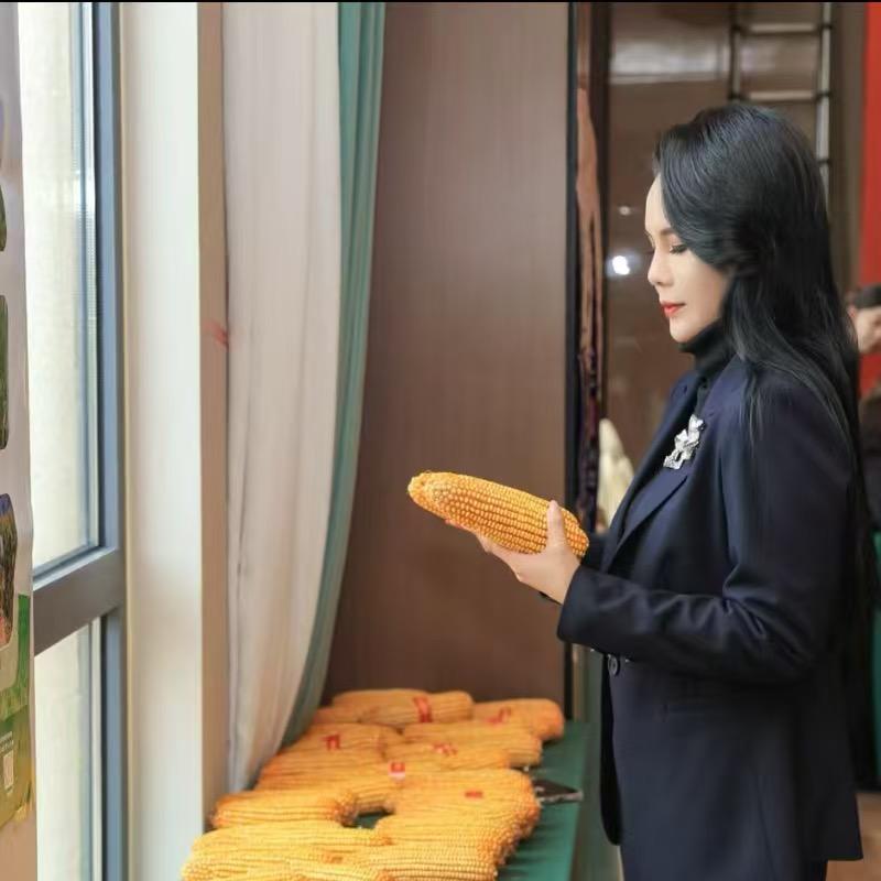 高级农艺师-少侠