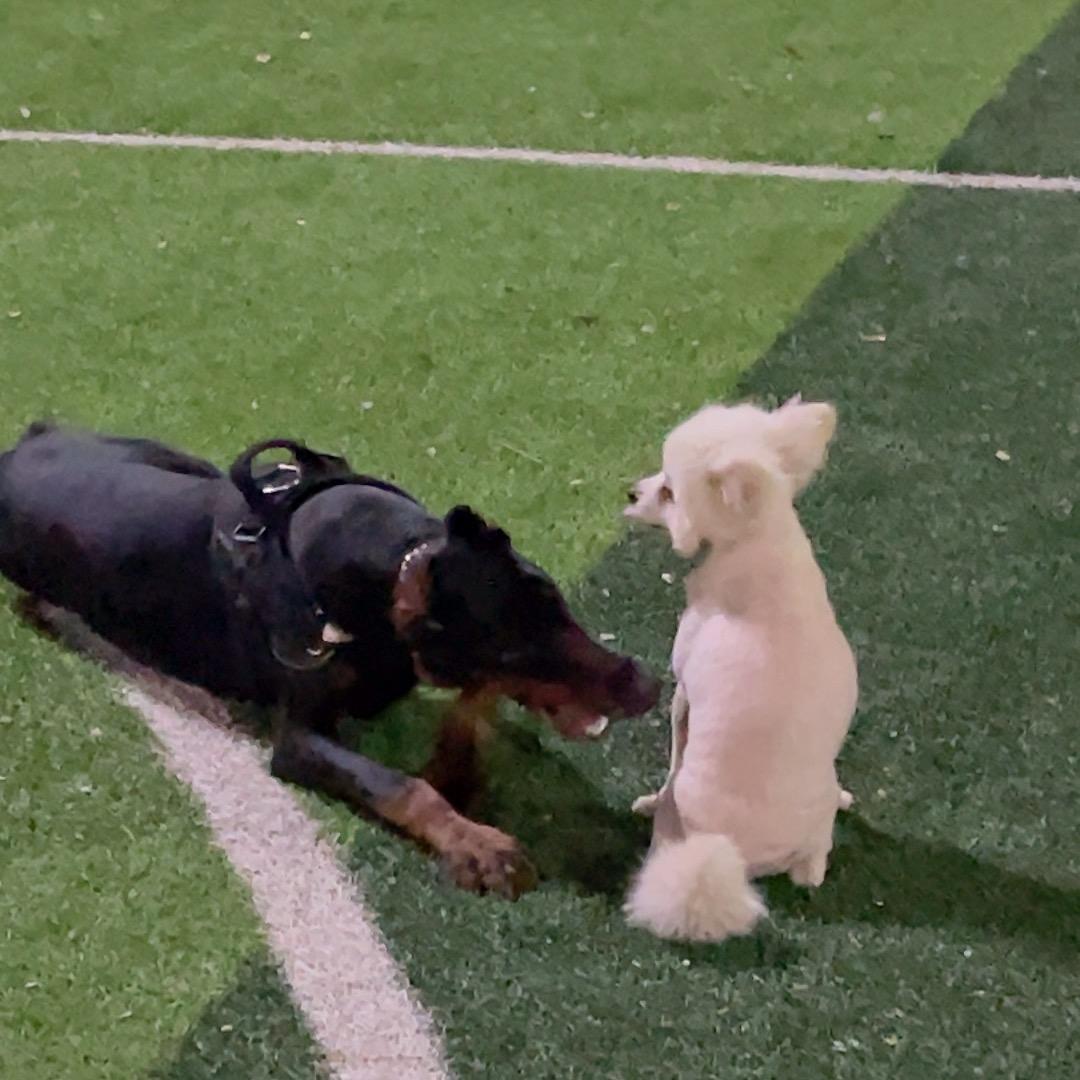 晋a.啥也不说🎆