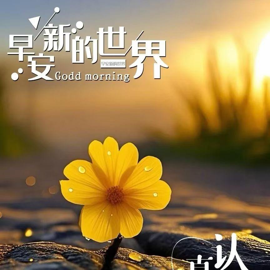 多多温州品质女鞋